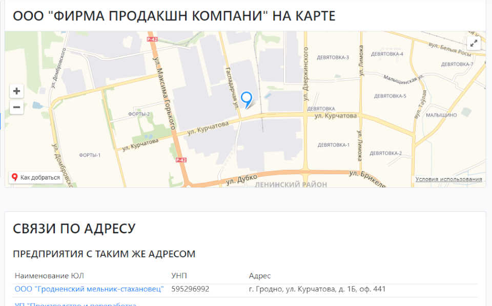 Пример поиска предприятия по УНП, получения полных сведений о контрагенте по УНП, скриншот № 3